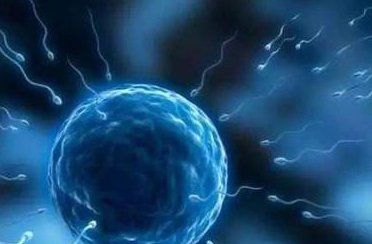 2026年没有卵泡可以在潍坊医学院附属医院做三代试管吗？成功率有多高？