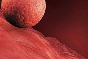 苏州三代试管婴儿收费标准是多少？