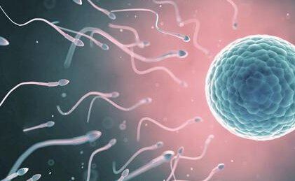 上海那家医院可以做三代试管婴儿