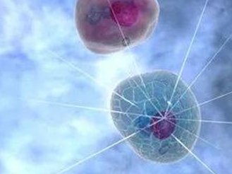 沈阳试管婴儿优选之地，菁华医院，专业品质值得信赖