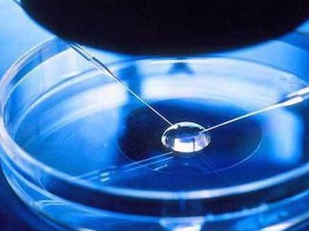 马来西亚三代试管婴儿手术费用是多少？