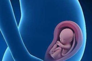 三代试管婴儿制作过程耗时多久？